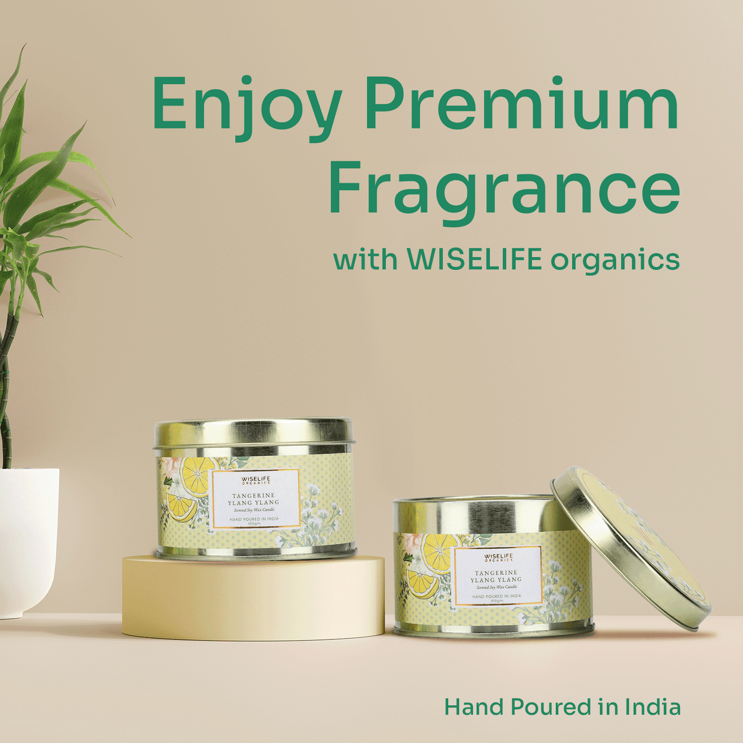Organics Scented Candle - (100g)