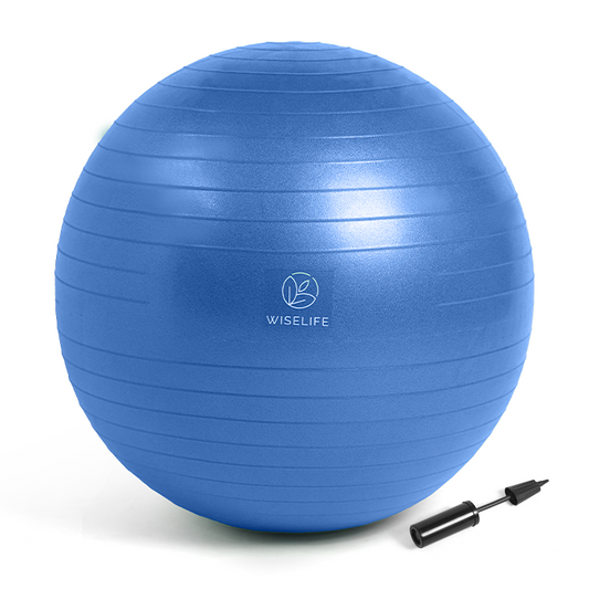 Gym Ball 55CM