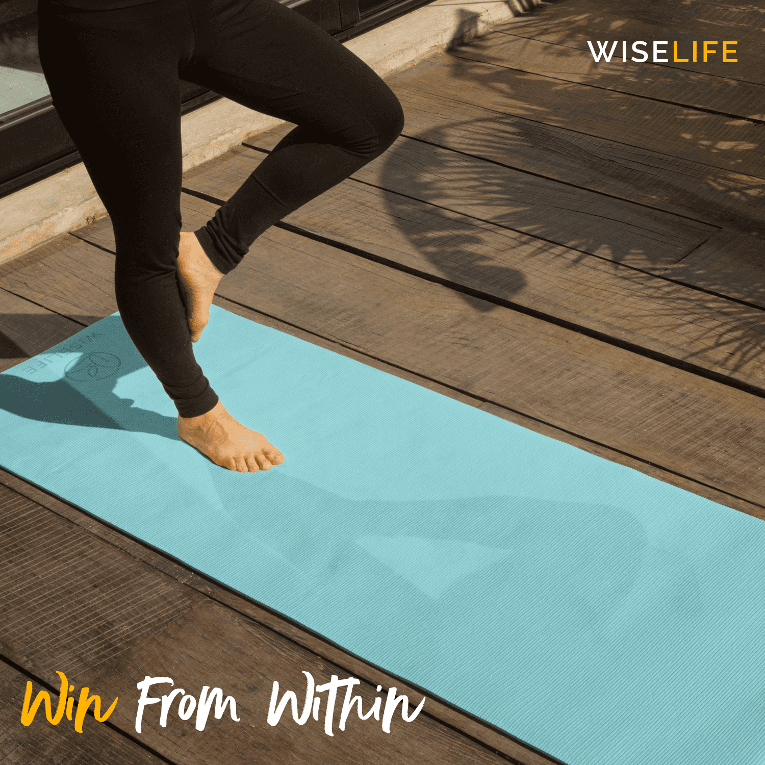 Wiselife yoga mat , dual layer yoga mat , yoga mat for women , yoga mat for men , yoga mat for women 6mm  , yoga mat for women 10mm thickness ,   yoga mat for women 10mm + thickness , yoga mat , mats
