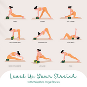 Pro Yoga Blocks