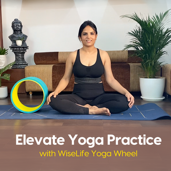 Yoga Wheel Pro