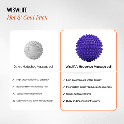Wise Hedgehog Massage Ball