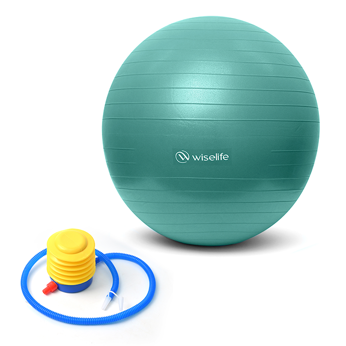 gym ball , wiselife gym ball , gym ball 95 cm , gym ball for fitness , gym ball 5kg , gym balls , gym balloon