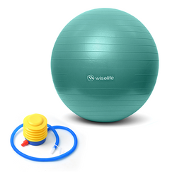 gym ball , wiselife gym ball , gym ball 95 cm , gym ball for fitness , gym ball 5kg , gym balls , gym balloon