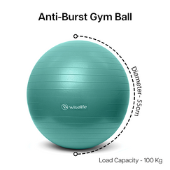 gym ball , wiselife gym ball , gym ball 95 cm , gym ball for fitness , gym ball 5kg , gym balls , gym balloon