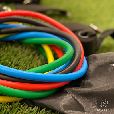 Resistance Tube Set